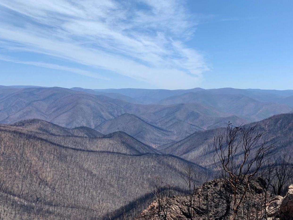 Image taken near Cobberas, East Gippsland, shows miles of trees devastated by bushfires: Dion Hooper via Victoria Emergency services