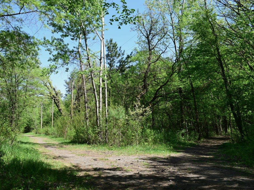 fork in the road