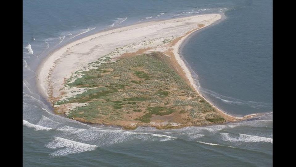 This is an aerial photo that shows the western part of Deveaux Bank Seabird Sanctuary before Tropical Storm Idalia hit the island on Aug. 30. Credit: Janet Thibault/SCDNR Janet Thibault/SCDNR