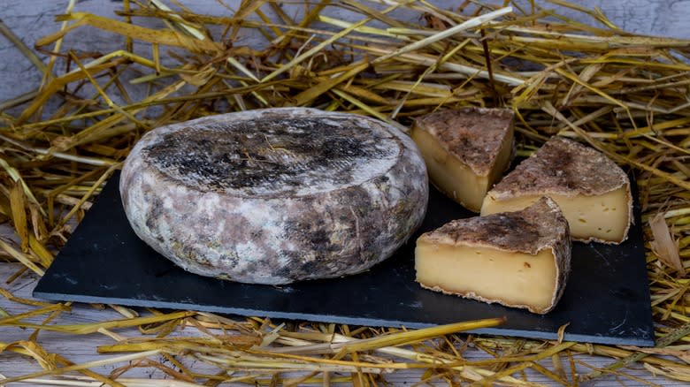 a close up tomme de savoie