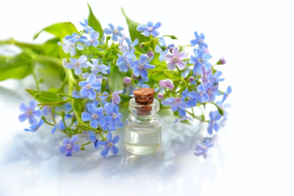 Small bottle of oil nestled inside a bouquet of flowers