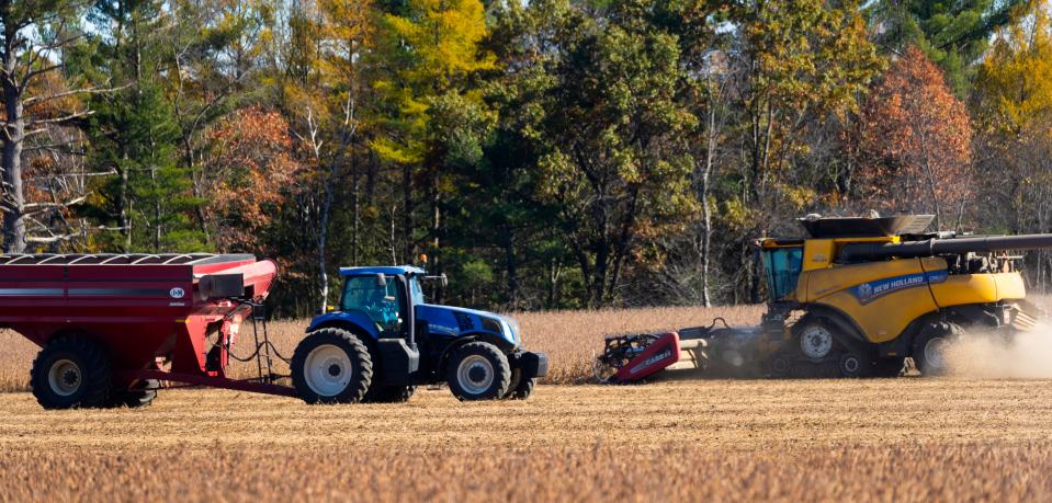 Soy beans are harvested Monday, October 25, 2021 inn Marathon County near Hatley, Wis. According the US Department of Agriculture, the soybean harvest was 93 percent complete as of Nov. 8. The corn harvest was still underway, as well as tillage and manure application.