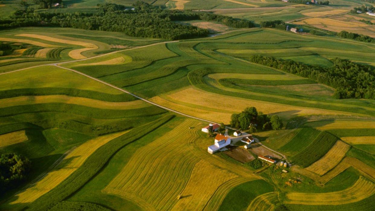 <div>Agriculture - Aerial view of a farmstead surrounded by contour strips of alfalfa, corn and oats / Wisconsin, USA. (Photo by: Richard Hamilton Smith /Design Pics Editorial/Universal Images Group via Getty Images)</div>