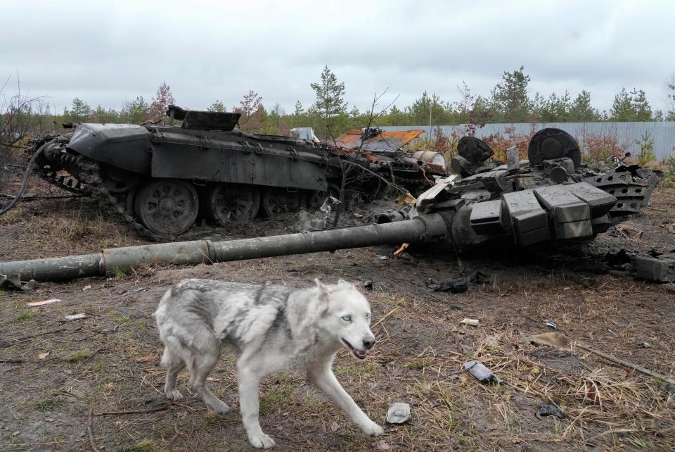 A Russian tank destroyed during fighting in the village of Dmytrivka close to Kyiv (Copyright 2022 The Associated Press. All rights reserved.)