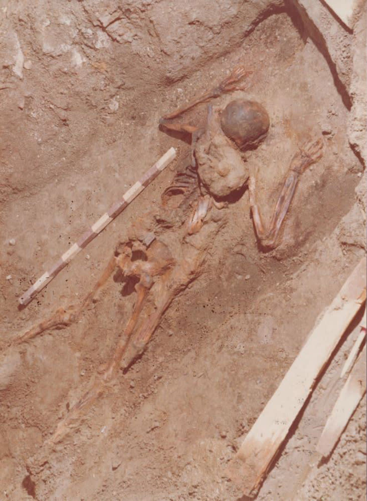 Image: The skeleton was discovered in Herculaneum back in the 1980's (Parco Archeologico di Ercolano)