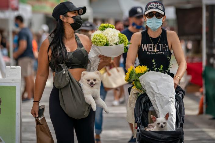 Samantha O&#39;Sullivan carries her dog Rocco and Olivia Fleming pushes her dog Peter while visiting the West Palm Beach GreenMarket during the 2020 season.