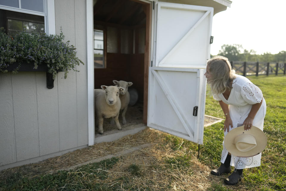 Jamie Campion lets her Southdown Babydoll sheep out of a shed to graze in the backyard Wednesday morning, July 3, 2024, in Thompson Station, Tenn. (AP Photo/George Walker IV)