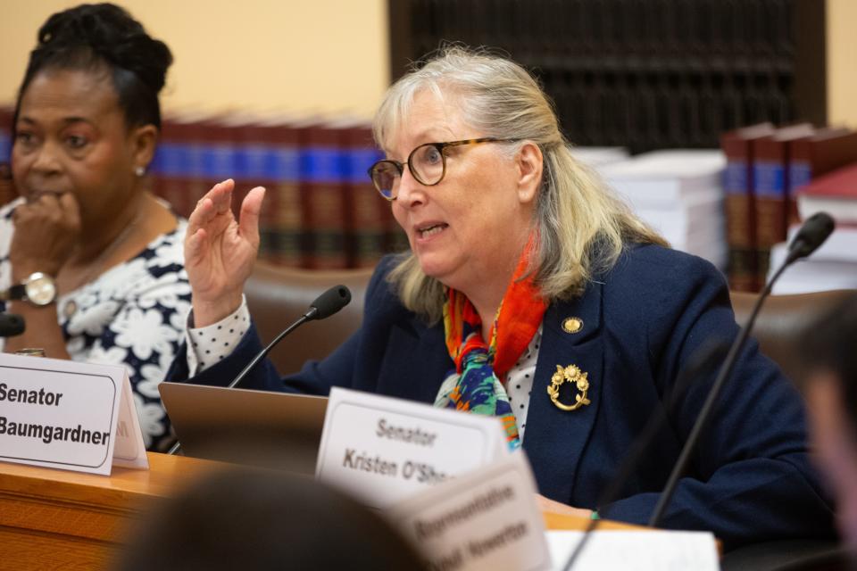 Sen. Molly Baumgardner, R-Overland Park, questions DCF secretary Laura Howard during Wednesday's Child Welfare System Oversight Committee meeting at the Statehouse.