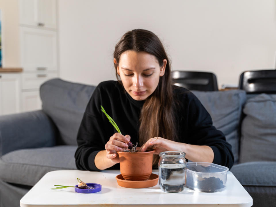 Auch im Wohnzimmer lassen sich Gemüse und Kräuter anbauen. (Bild: Troyan / Shutterstock.com)