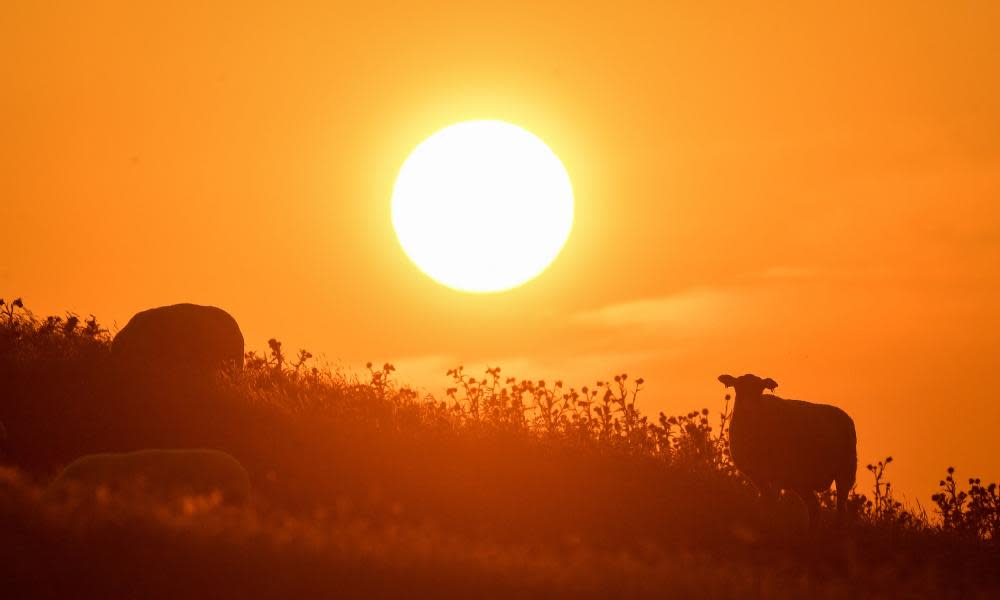 <span>Photograph: Jacob King/PA</span>