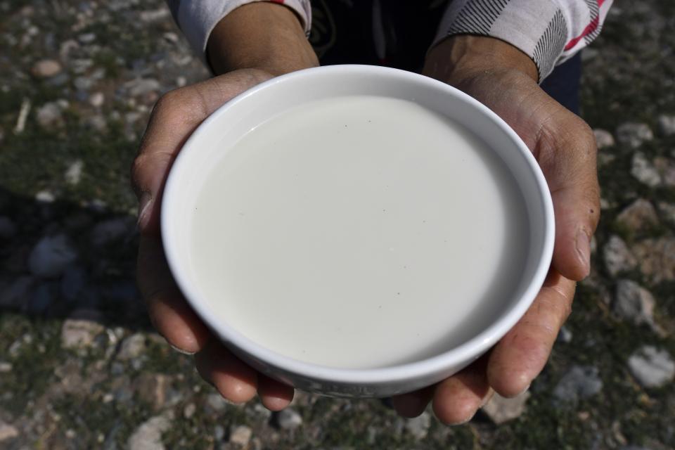 A Kyrgyz woman offers a taste of kumis at a street market in Koy-Tash village, 30 kilometers (19 miles) south of south of the capital Bishkek, Kyrgyzstan, Saturday, Aug. 13, 2022. Kumis is a fermented milk drink popular in Central Asia that proponents say has health benefits. The grass and herbs lend flavor to the milk that locals draw from the mares in the fields where they graze. The milk then is left to ferment, or sometimes churned to promote fermentation, until it becomes mildly alcoholic.(AP Photo/Vladimir Voronin)