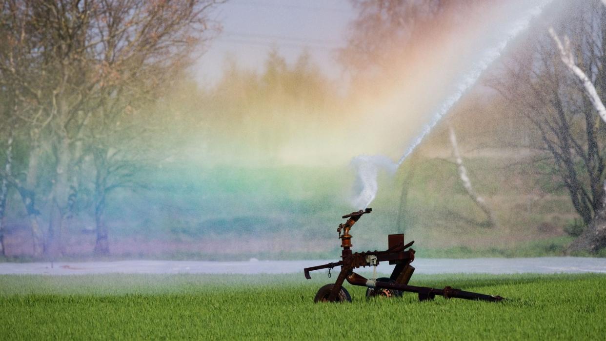 Ein Feld in der Region Hannover wird künstlich bewässert. Nach dem extrem trockenen Jahr 2018 ist auch jetzt schon wieder zu trocken für die Jahreszeit. Foto: Julian Stratenschulte