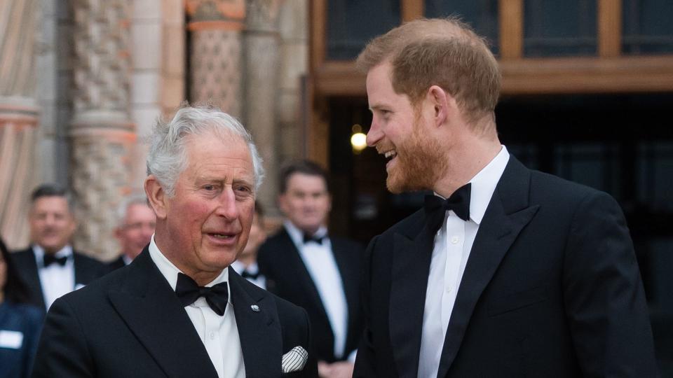 King Charles and Prince Harry in suit