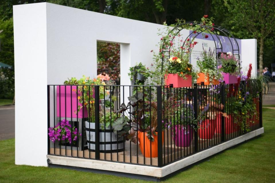 rhs chelsea flower show