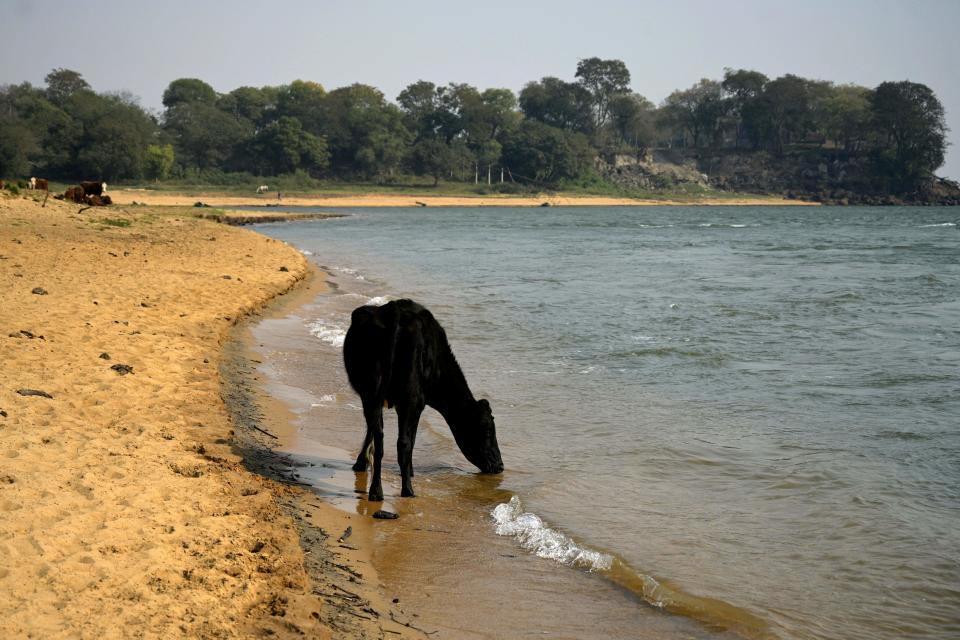 El río Paraná se seca ante el desconcierto de los científicos
