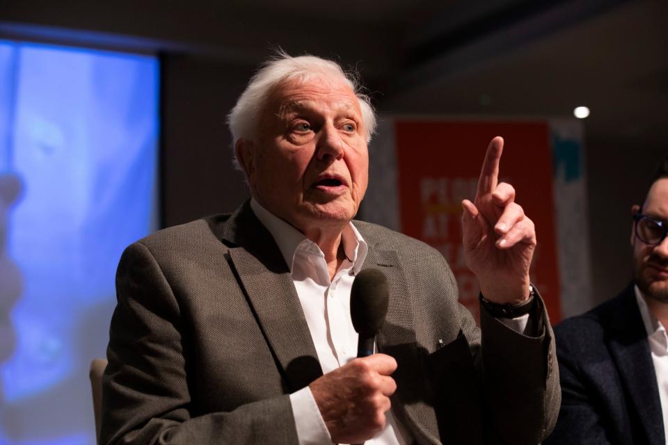 Sir David Attenborough speaking at the first UK-wide citizens assembly (PA)