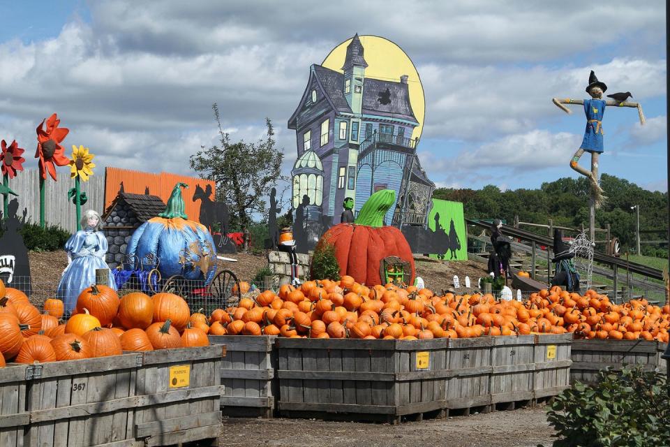 <p>Folks, get ready to feast! With tons of fall foods—apple cider donuts, freshly baked pies, and seasonal produce—available on site, you'll definitely want to come to this <a href="https://go.redirectingat.com?id=74968X1596630&url=https%3A%2F%2Fwww.tripadvisor.com%2FTourism-g53158-Media_Pennsylvania-Vacations.html&sref=https%3A%2F%2Fwww.countryliving.com%2Flife%2Ftravel%2Fg21273436%2Fpumpkin-farms-near-me%2F" rel="nofollow noopener" target="_blank" data-ylk="slk:Media, Pennsylvania;elm:context_link;itc:0;sec:content-canvas" class="link ">Media, Pennsylvania</a>, establishment with an empty stomach. For decades, families have been coming to Philadelphia's <a href="https://www.linvilla.com/" rel="nofollow noopener" target="_blank" data-ylk="slk:Linvilla Orchards;elm:context_link;itc:0;sec:content-canvas" class="link ">Linvilla Orchards</a> for their selection of autumnal treats. </p><p><a class="link " href="https://go.redirectingat.com?id=74968X1596630&url=https%3A%2F%2Fwww.tripadvisor.com%2FAttractions-g53158-Activities-Media_Pennsylvania.html&sref=https%3A%2F%2Fwww.countryliving.com%2Flife%2Ftravel%2Fg21273436%2Fpumpkin-farms-near-me%2F" rel="nofollow noopener" target="_blank" data-ylk="slk:PLAN YOUR TRIP;elm:context_link;itc:0;sec:content-canvas">PLAN YOUR TRIP</a><br></p>