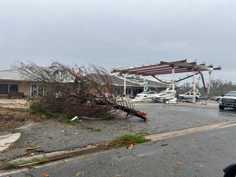 An uprooted tree and debris pictured in Jackson County, Florida on 9 January (Courtesy of Ramsey Romero)