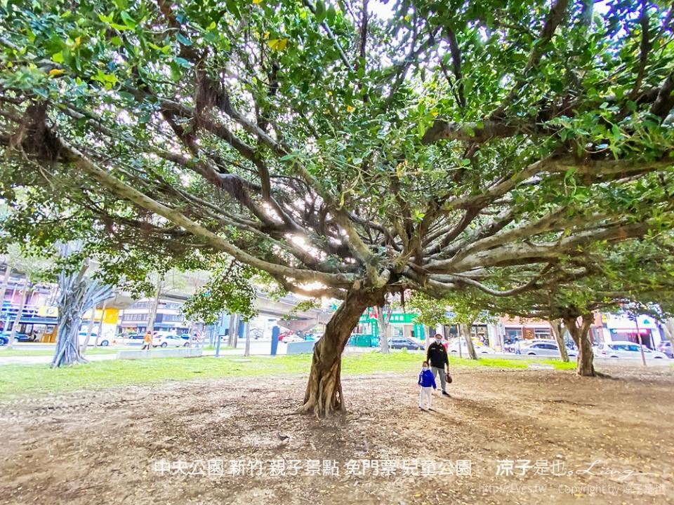 新竹｜中央公園