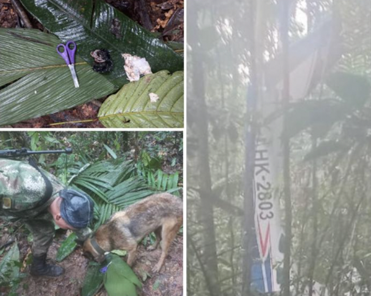 Scenes from the Amazon rescue attempts (Aeronautica Civil de Colombia)