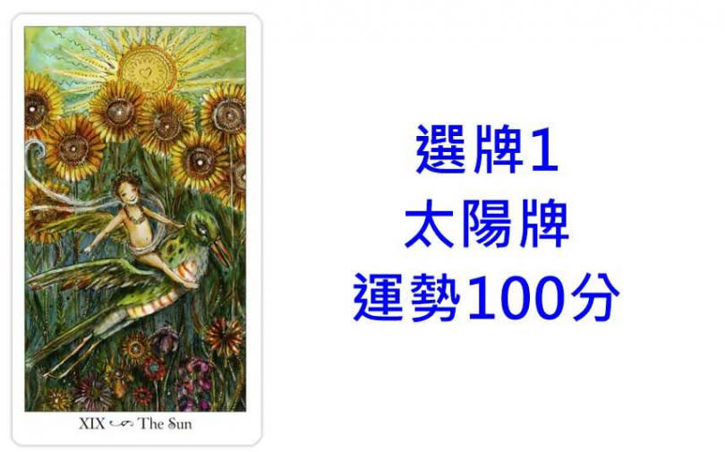 本次塔羅牌使用《寶琳娜塔羅Paulina Tarot》美國遊戲公司U.S. Games Systems, Inc. 出版。