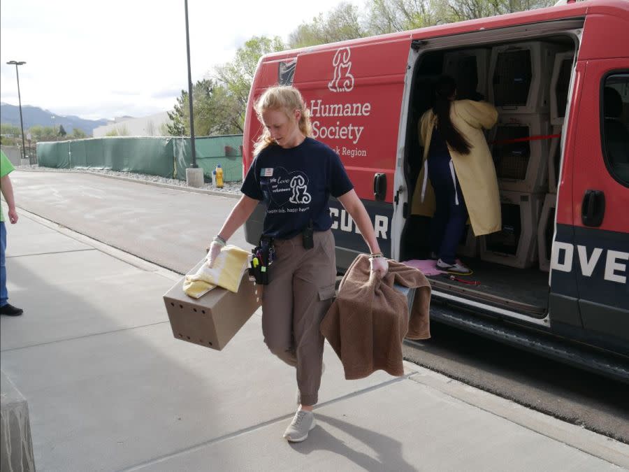 HSPPR receiving an influx of cats after Val U Stay Inn & Suites was closed in Pueblo