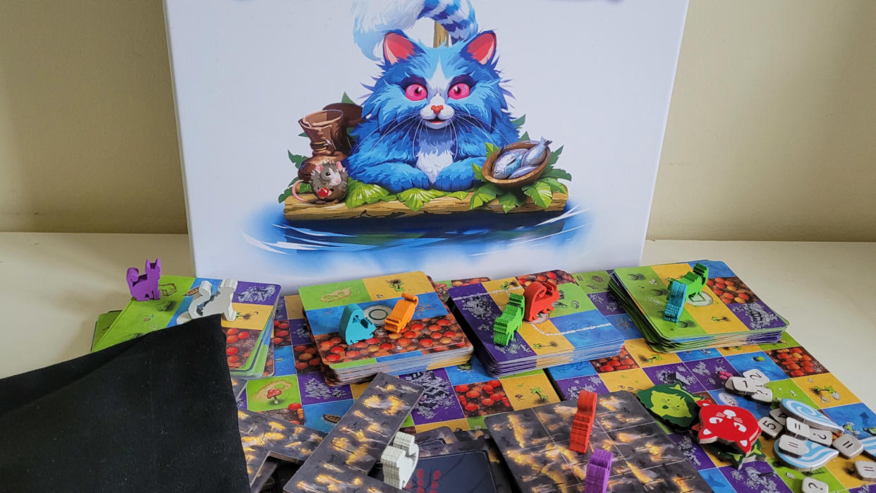  The box, tokens, and board pieces of Race to the Raft. 