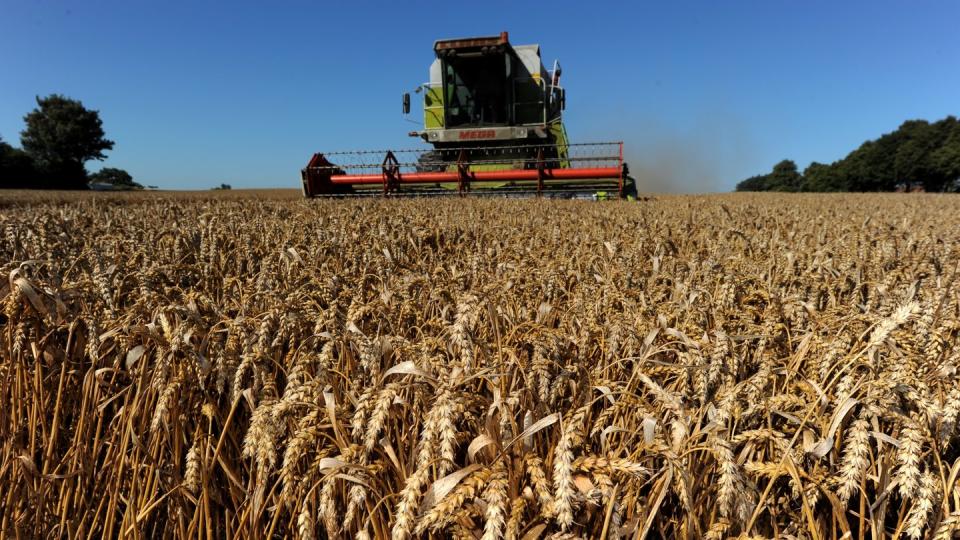 Vor allem bei den Umweltvorgaben der Agrarreform gibt es Differenzen.