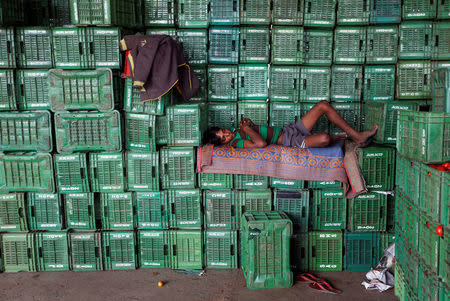 A labourer sleeps on baskets of unsold tomatoes at a wholesale market in Manchar village in the western state of Maharashtra, India, November 16, 2016. REUTERS/Shailesh Andrade