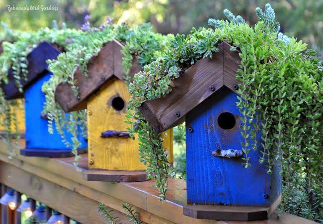 DIY Birdhouse - Roof Garden