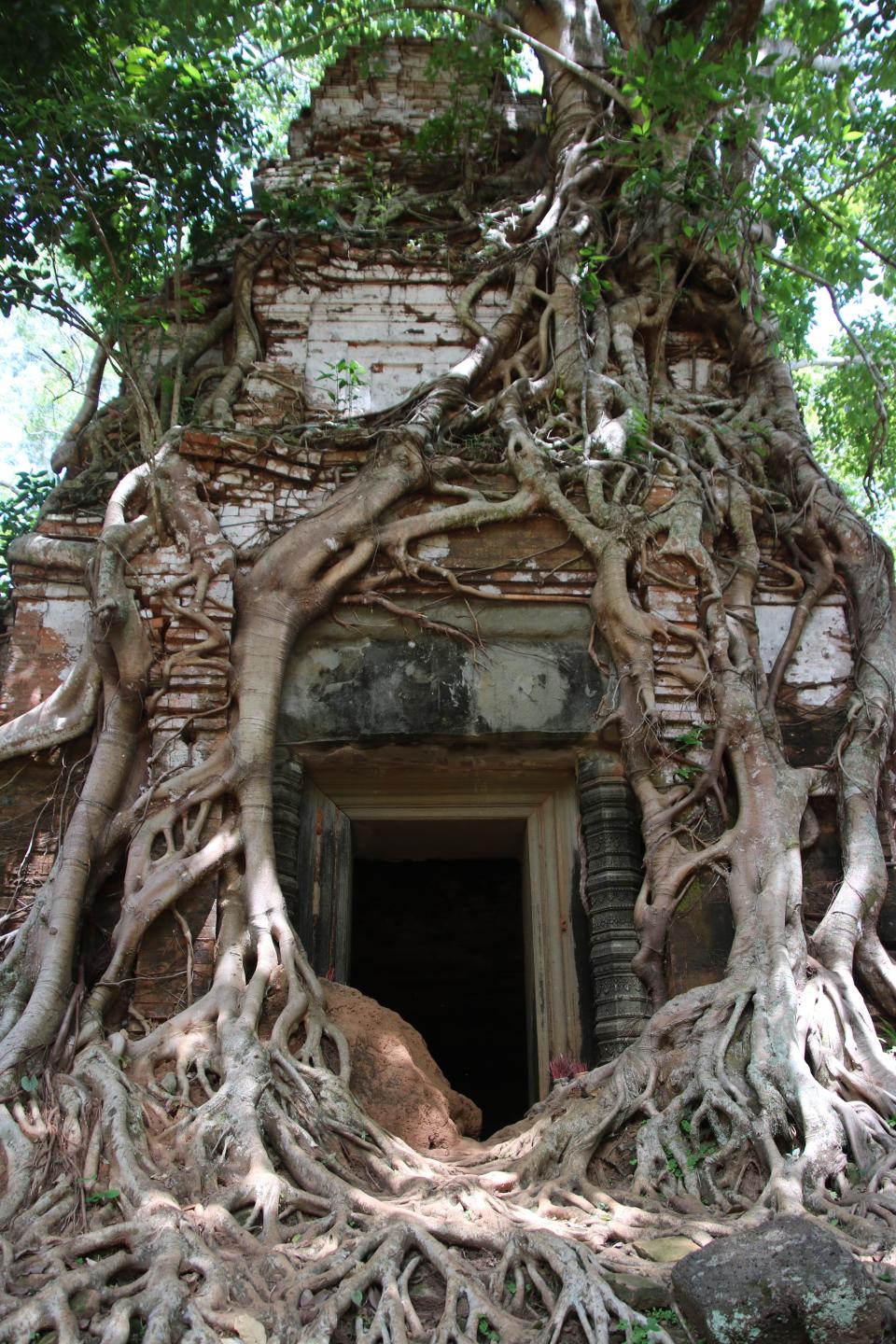 A root-covered doorway at the Ta Prohm temple.