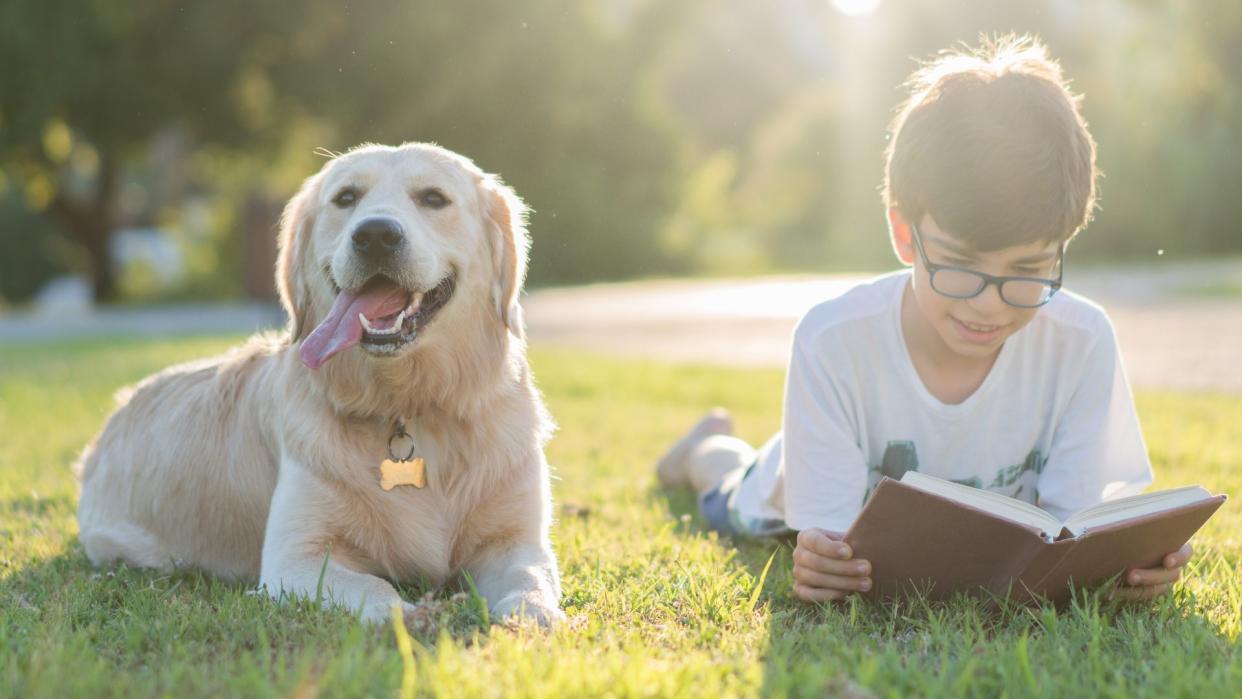  Interesting dog facts - dog lying with boy who is reading a book. 