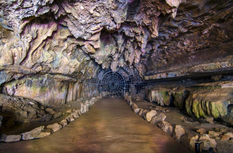 <em>Sequoia Parks Conservancy. (2019). Image of the Spider Web Gate: The Entry into Crystal Cave.</em>