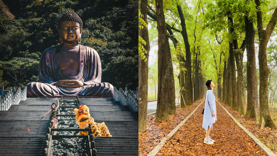 高雄六龜美濃一日遊 新威森林公園、桃花心木綠色隧道、美濃文創中心、美濃粄條小吃、美濃啖糕堂