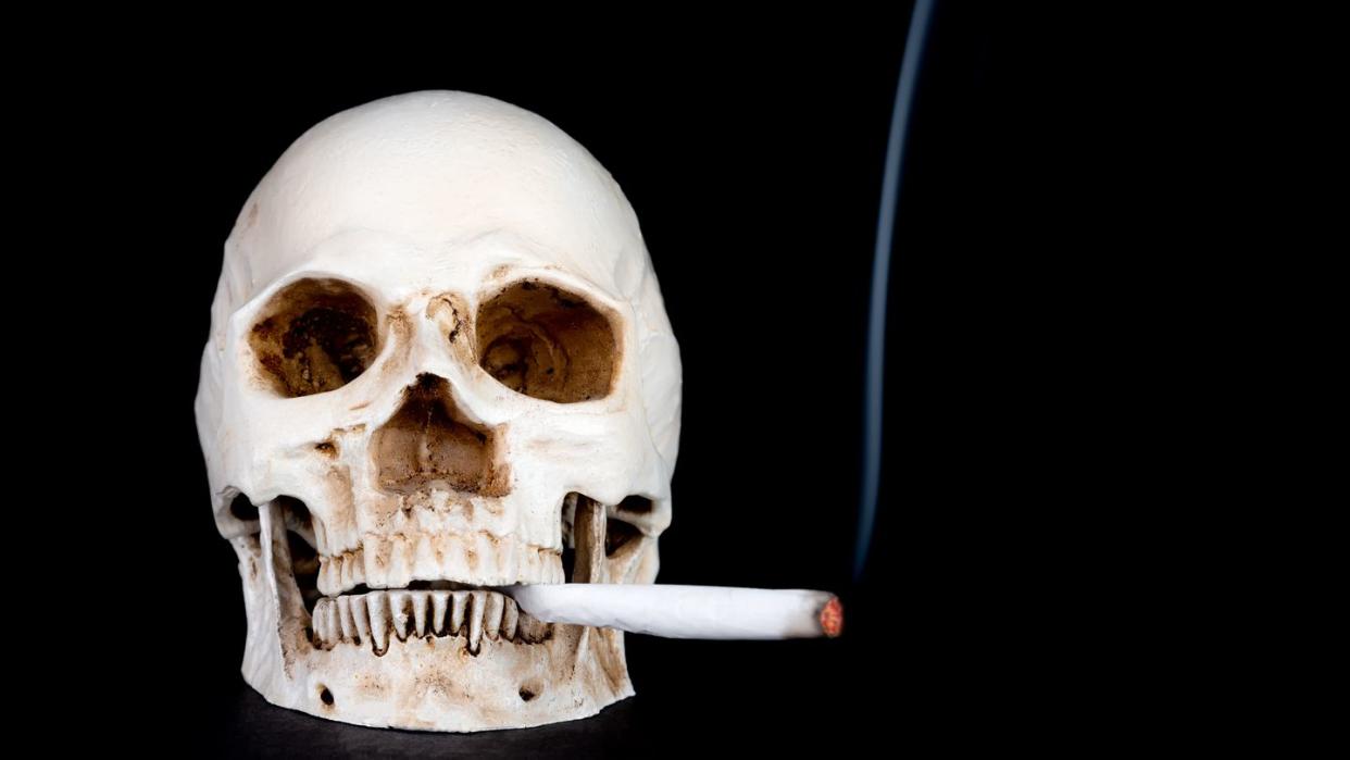 skull smoking a joint