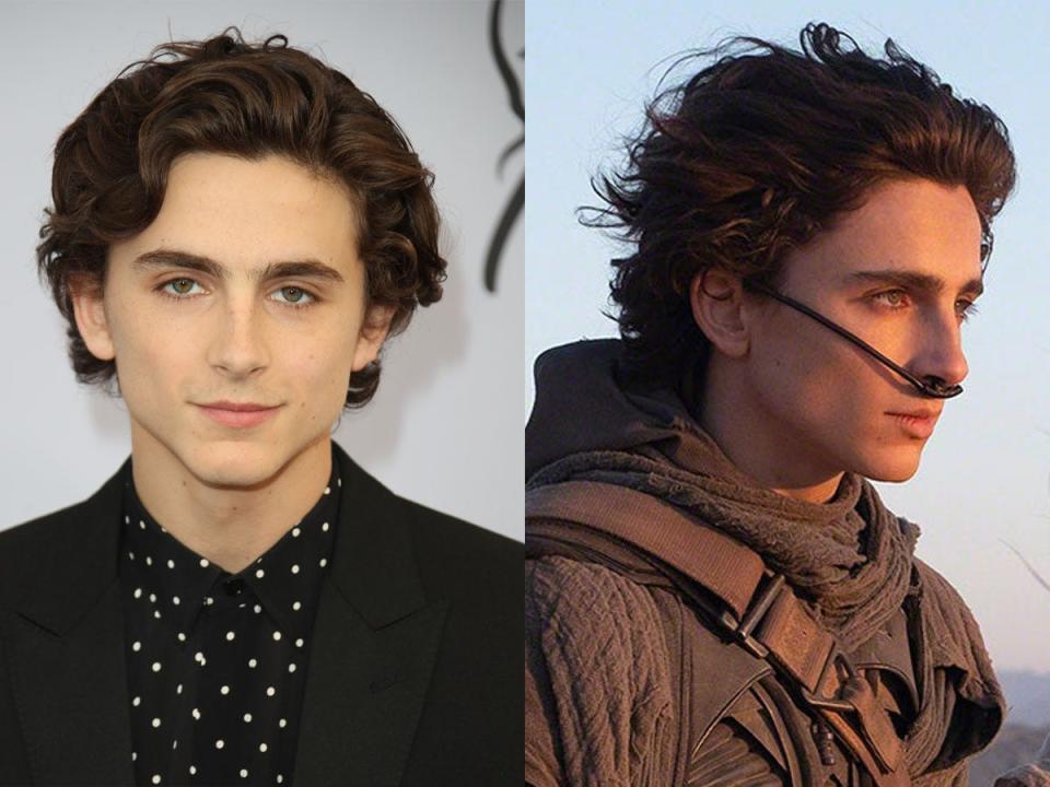 timothee chalamet dune_edited 1