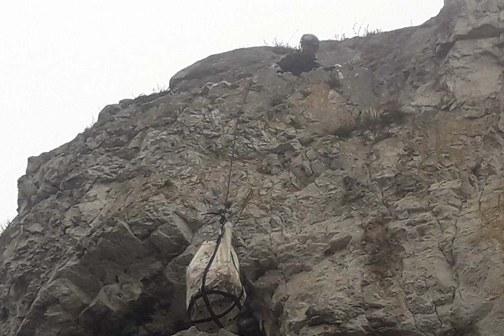 A sheep being rescued from a 100ft cliff in Llandudno: PA