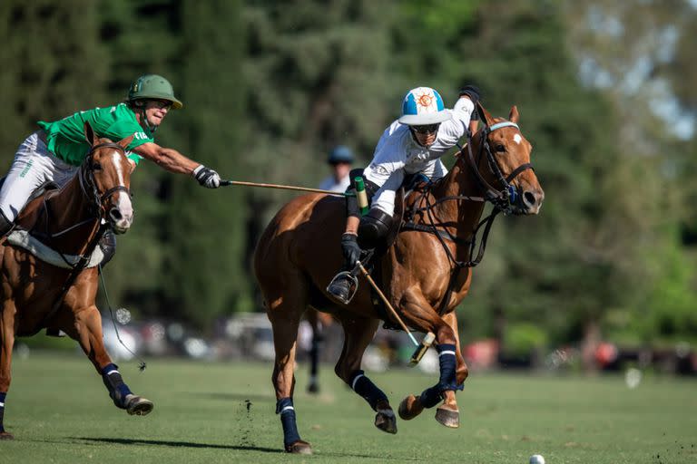 Poroto, casi una réplica de su padre, por el casco argentino y las características físicas; cuando juegan juntos, cuesta diferenciarlos