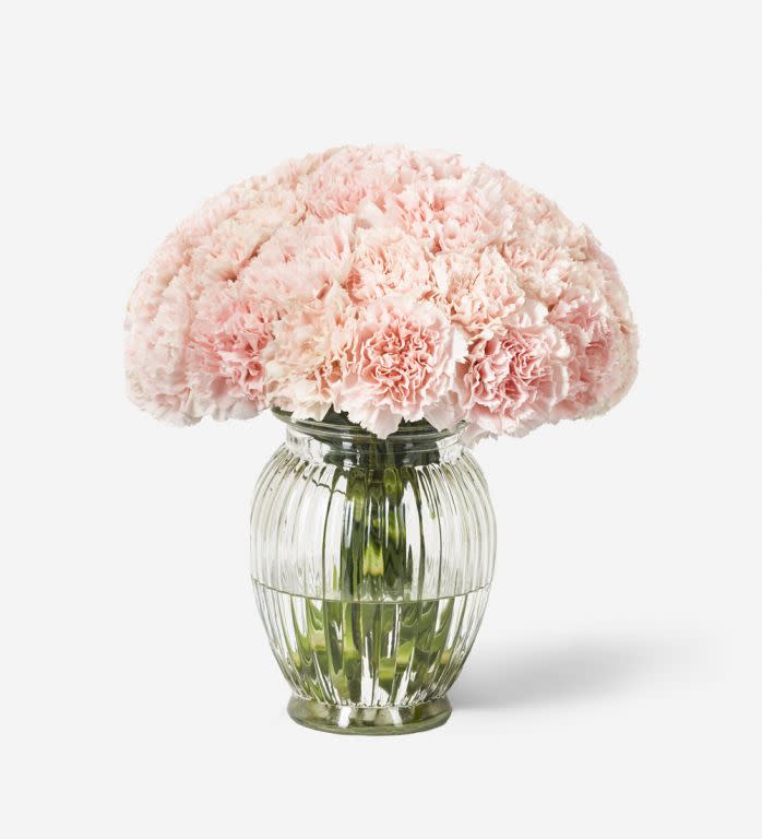 <p><a href="https://go.redirectingat.com?id=74968X1596630&url=https%3A%2F%2Fwww.flowerbx.com%2Fus%2Fcarnation-vase-set&sref=https%3A%2F%2Fwww.veranda.com%2Fshopping%2Fg43401836%2Fbest-flowers-for-mothers-day%2F" rel="nofollow noopener" target="_blank" data-ylk="slk:Shop Now;elm:context_link;itc:0;sec:content-canvas" class="link ">Shop Now</a></p><p>Carnation Vase Set</p><p>flowerbx.com</p><p>$105.00</p>