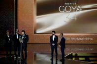 Ceremonia de entrega de los Premios Goya en Málaga