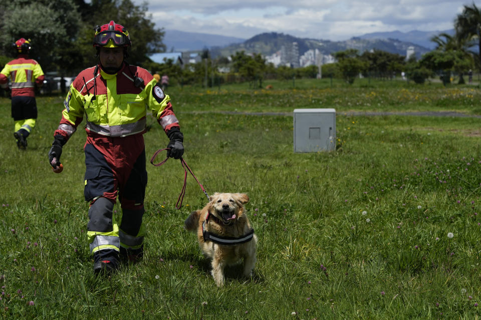 Gaia demuestra sus habilidades durante un acto de homenaje a perros que trabajaron con el departamento de bomberos en su retirada, en Quito, Ecuador, el 20 de mayo de 2024. Los perros fueron adoptados por residentes en la capital. (AP Foto/Dolores Ochoa)