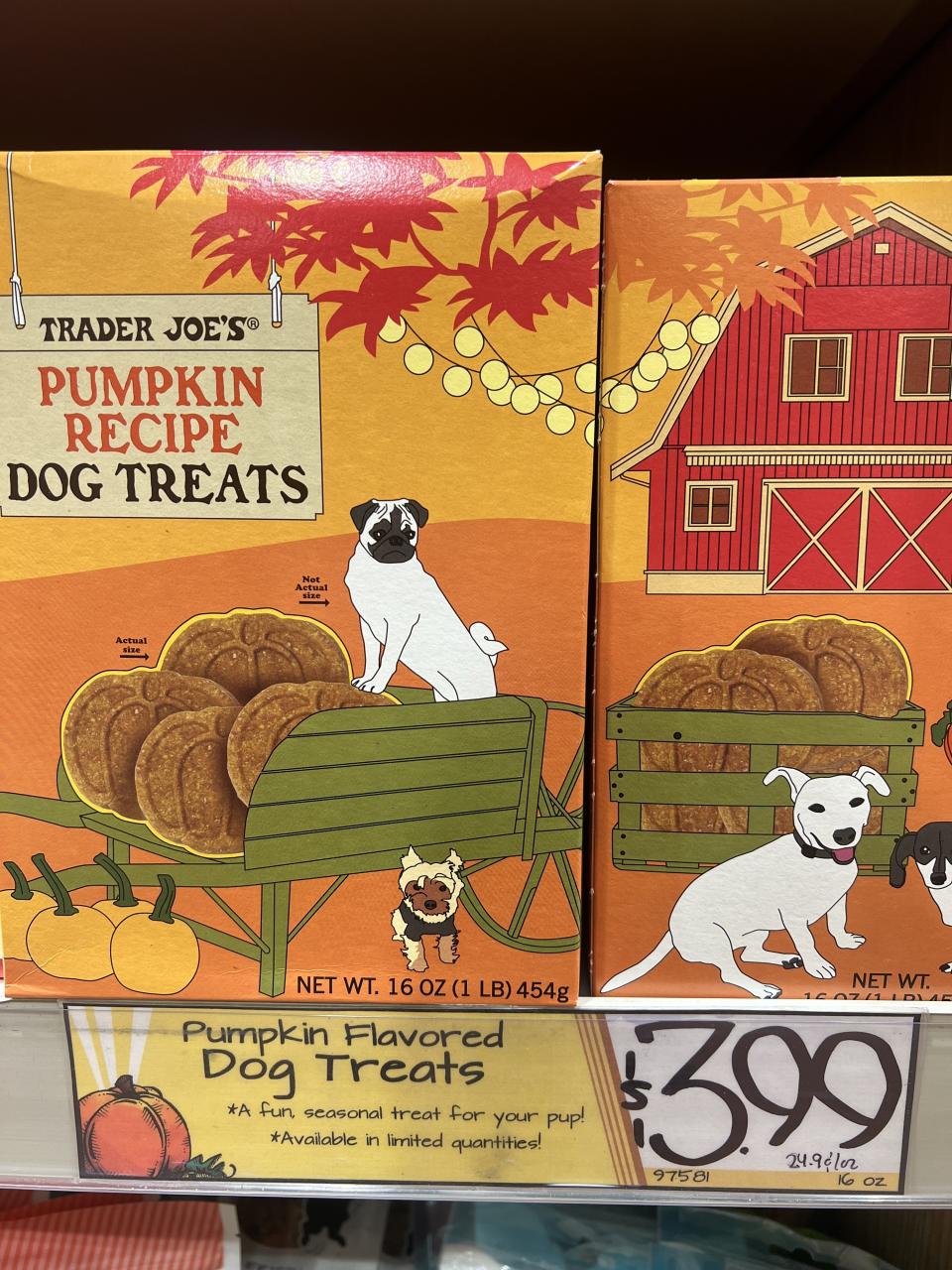 Pumpkin Recipe Dog Treats