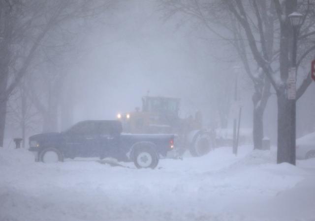 Book Thunder Snow of Buffalo by Don Purdy 