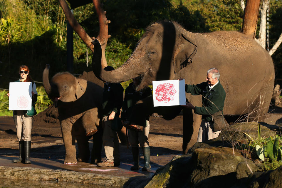 Taronga Zoo