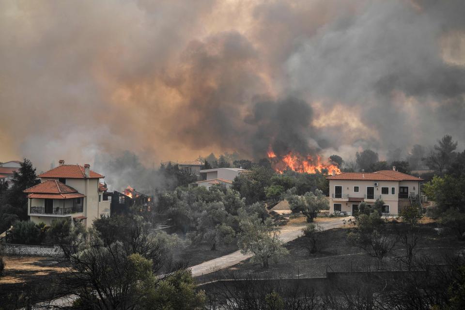 Image: Wildfire in Afidnes, Greece (Louisa Gouliamaki / AFP - Getty Images)