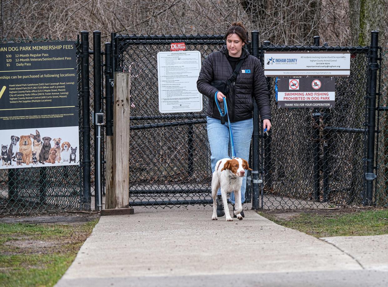 Claire Hesseltine and her two-year-old brittany named Remi, just finished walking off-leash at Soldan Dog Park in Lansing Saturday, April 1, 2023. Remi has been diagnosed with a tick-borne disease called Anaplasmosis, but does not have symptoms and stays on a regime of preventative medications prescribed by a veterinarian.