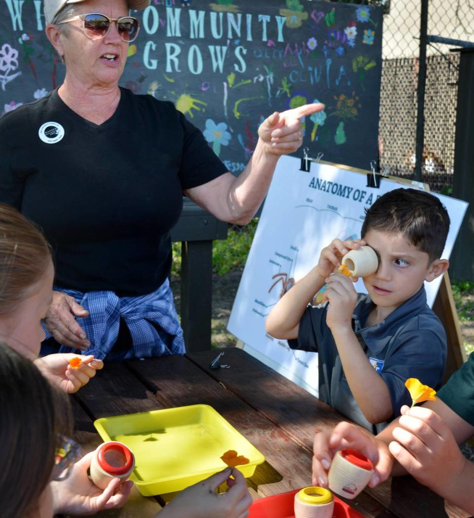 Nicolas Rangel peers through a device that mimics a bug’s eye while Char Van’t Voort teaches about insects at Garden Joy in Ripon, California, on May 15, 2024.