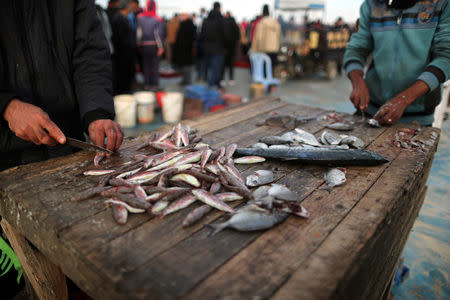 Men clean fish at a market in Gaza City, after Israel expanded fishing zone for Palestinians April 2, 2019. REUTERS/Suhaib Salem