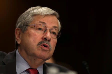 Iowa Governor Terry Branstad testifies before a Senate Foreign Relations Committee confirmation hearing on his nomination to be U.S. ambassador to China at Capitol Hill in Washington D.C., U.S. on May 2, 2017. REUTERS/Carlos Barria/File Photo