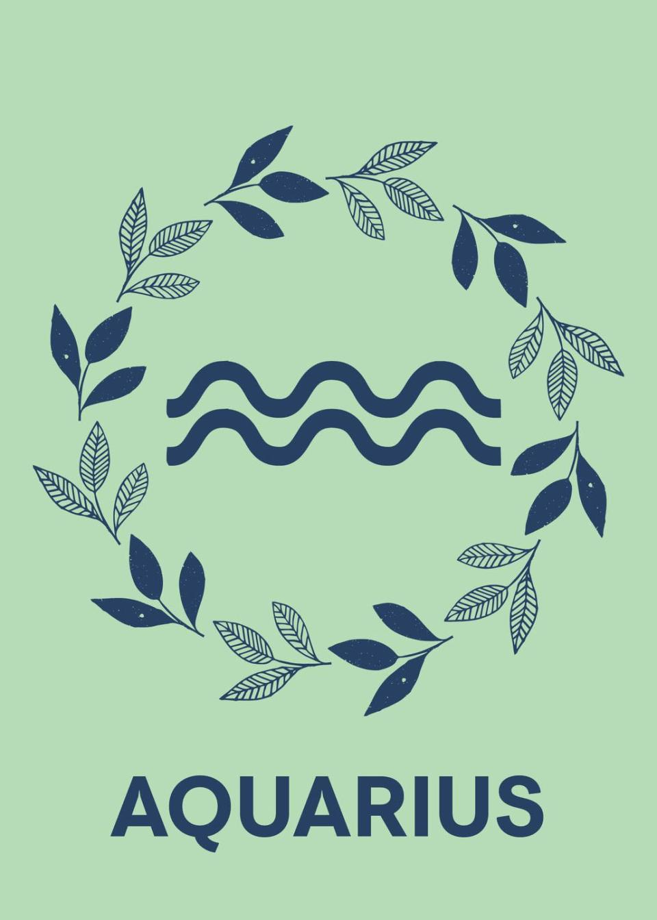 Aquarius (January 20 - February 18)